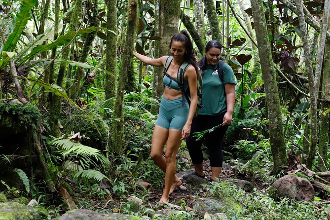 AOA Polynesian Forests - Hiking Sanctuary Biodiversity Tahiti - A private forest visit with a clear purpose