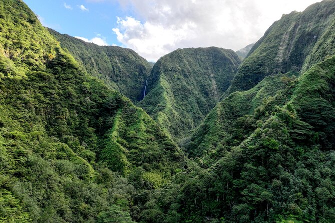 AOA Polynesian Forests - Hiking Sanctuary Biodiversity Tahiti - Why the private setting changes the experience