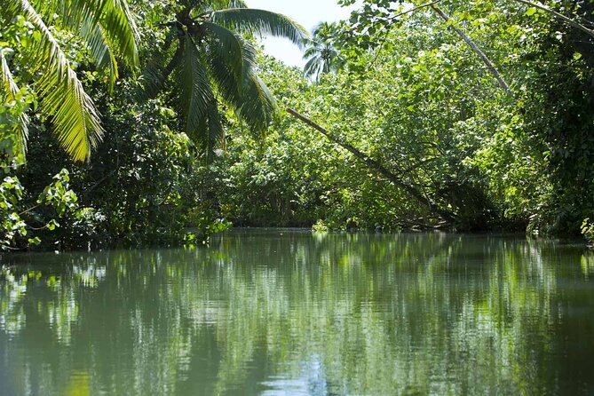 Apetahi day trip around Raiatea on a modern outrigger canoe - Faaroa Bay and the possible river trip