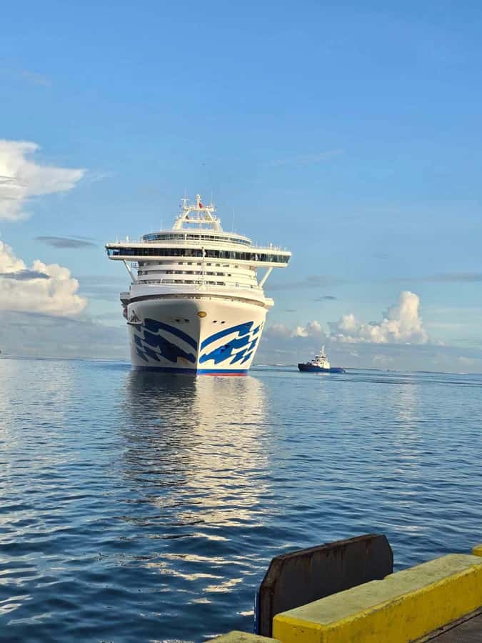 Apia Port: Cruise Guests’ Shore Excursion - Key points to know before you book
