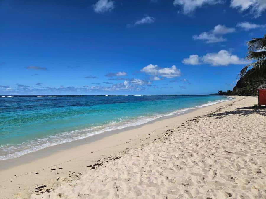Apia Port: Cruise Guests’ Shore Excursion - Why this east coast route works so well