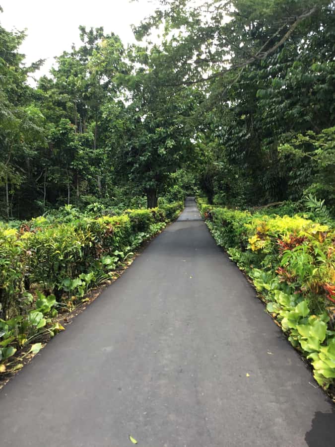 Apia Port: Cruise Guests’ Shore Excursion - Atua District adds a cultural note