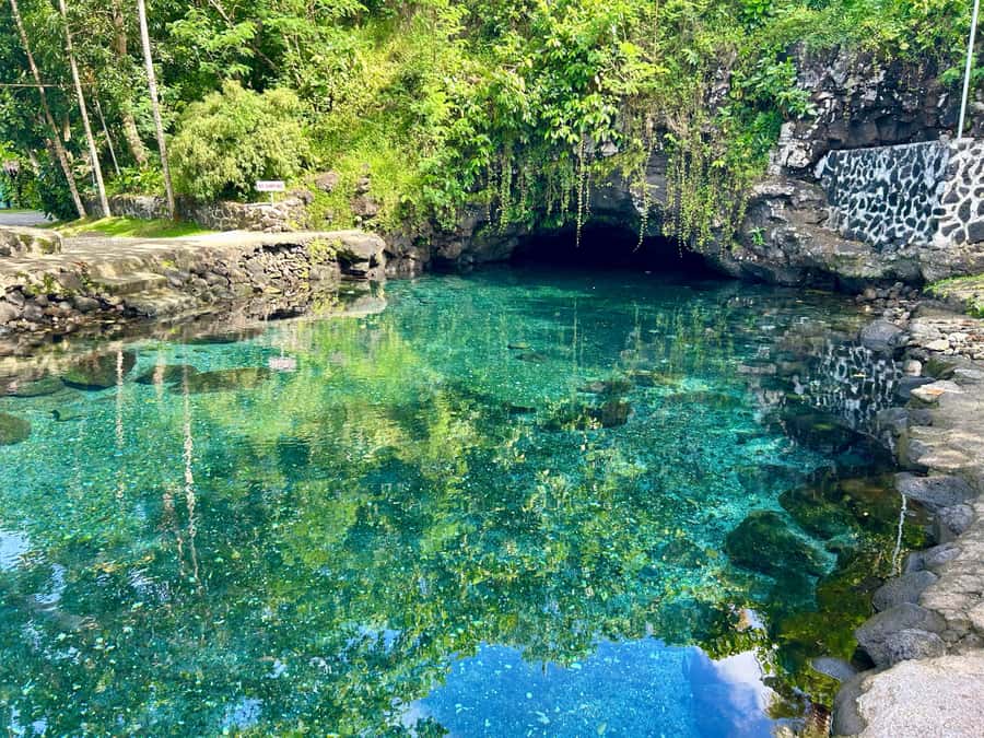Apia Port: Cruise Guests’ Shore Excursion - What the guide service adds