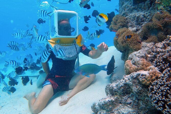Aqua Safari Introductory Helmet Dive (Underwater Walk) - Quick take: the details that matter most