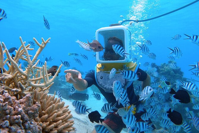 Aqua Safari Introductory Helmet Dive (Underwater Walk) - Walking beneath Bora Bora’s lagoon