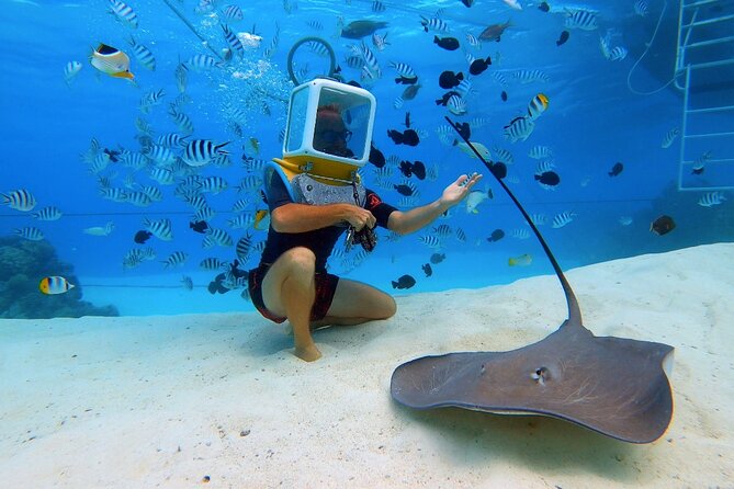 Aqua Safari Introductory Helmet Dive (Underwater Walk) - Photos, food, and what you actually receive