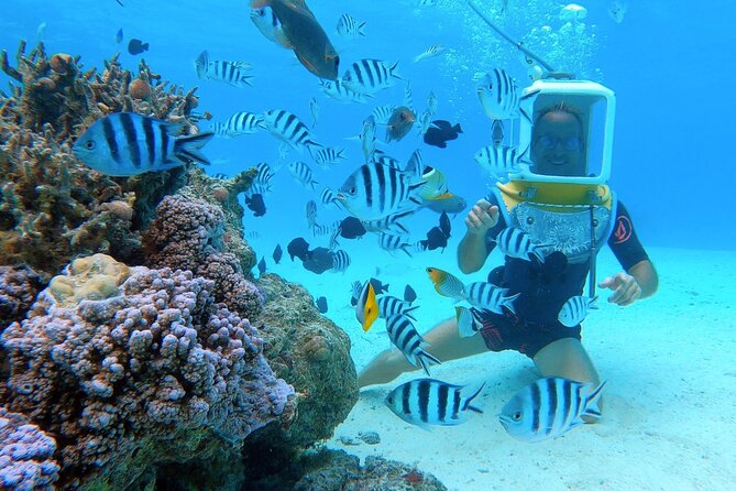 Aqua Safari Introductory Helmet Dive (Underwater Walk) - The briefing and the first descent