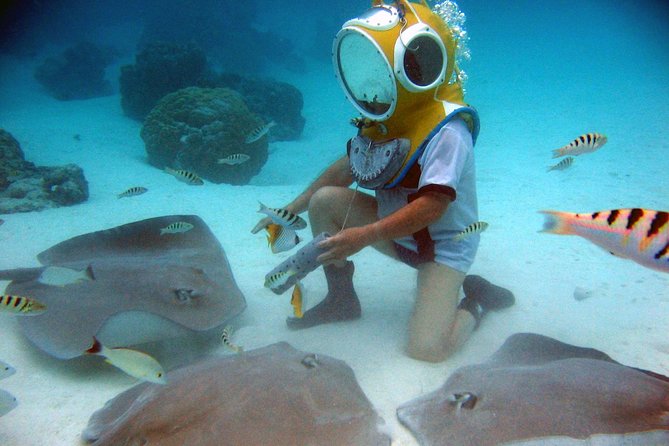 Aquablue Moorea - Why the small group improves the experience
