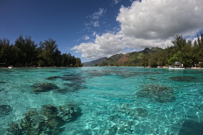 Aquablue Moorea - Who should book this Moorea experience