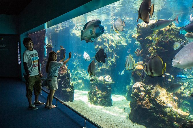 Aquarium Package in Nouméa's with Admission with Hop-on Hop-Off - Key points to know before you book