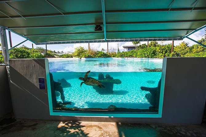 Aquarium Package in Nouméa's with Admission with Hop-on Hop-Off - Who should book this Nouméa experience