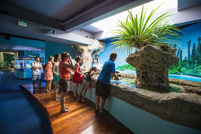 Aquarium Package in Nouméa's with Admission with Hop-on Hop-Off - Starting at the cruise terminal on Rue Jules Ferry