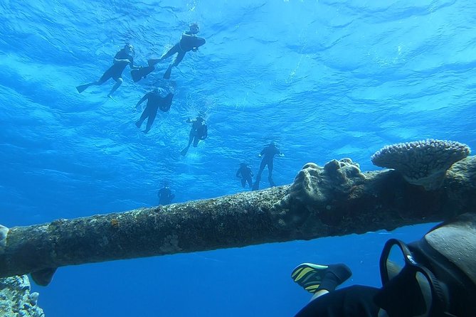 Ariki Adventures: Premium Sea Scooter Shipwreck Adventure - The coral gardens beyond the reef
