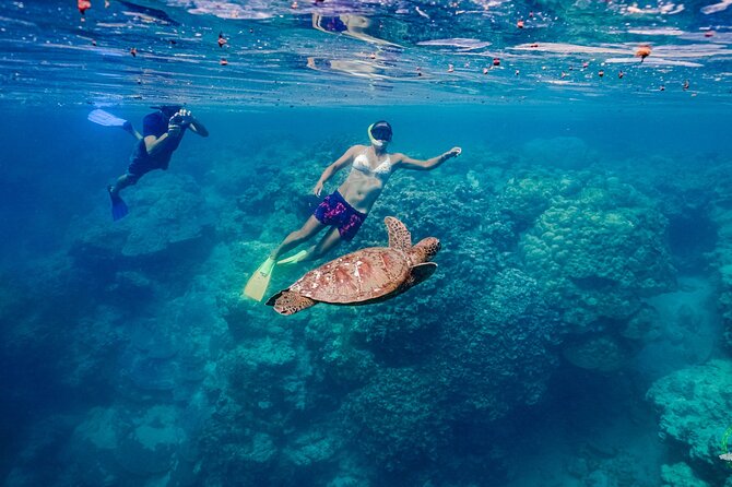Ariki Adventures: Premium Sea Scooter Turtle Adventure - Safety and support for mixed swimming abilities