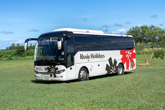 Arrival Shared Transfer : Airport to Hotel - Key points at a glance