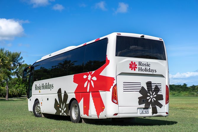 Arrival Shared Transfer : Airport to Hotel - A warm welcome at Nadi International Airport