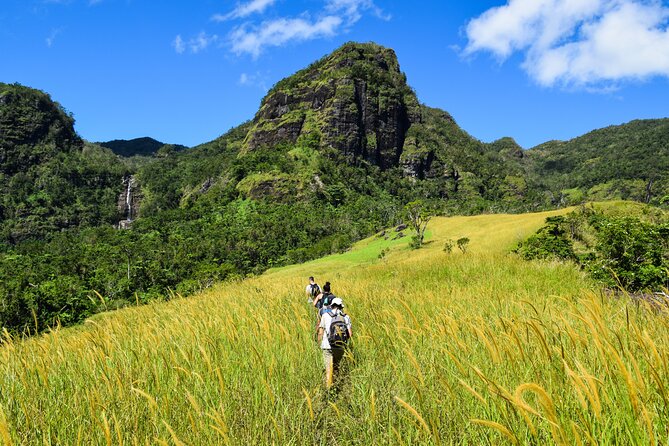 ATV Quad Bike Adventure Tour (Departs Nadi) - How much value do you get for $168.37?