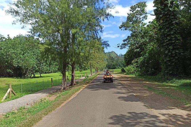 ATV Tour QUAD - Why an ATV is a good way to see Moorea