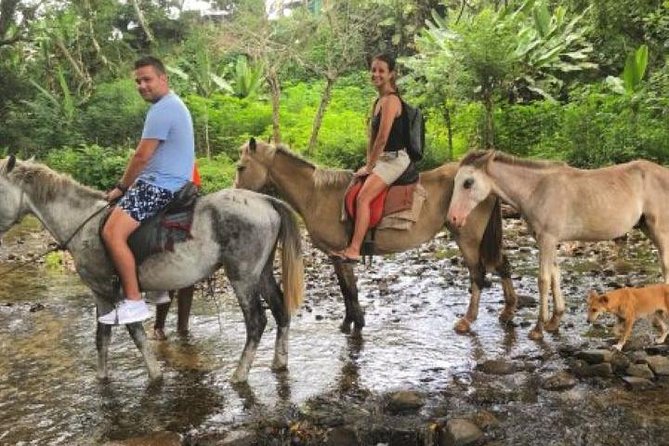 Authentic Fijian Day Tour - A private route into Fijian village life