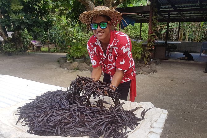 Authentic Polynesian Experience - Who should book this Tahaa experience