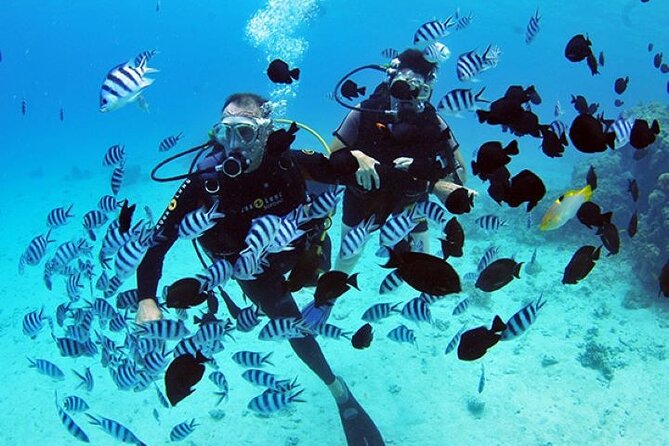 Baptism diving in the turquoise waters of Tahiti - Key points to know before booking
