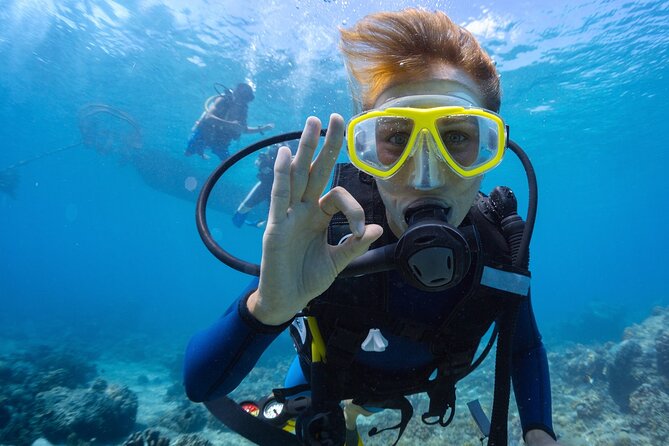 Baptism diving in the turquoise waters of Tahiti - Meeting at the InterContinental Tahiti at 2:00 pm