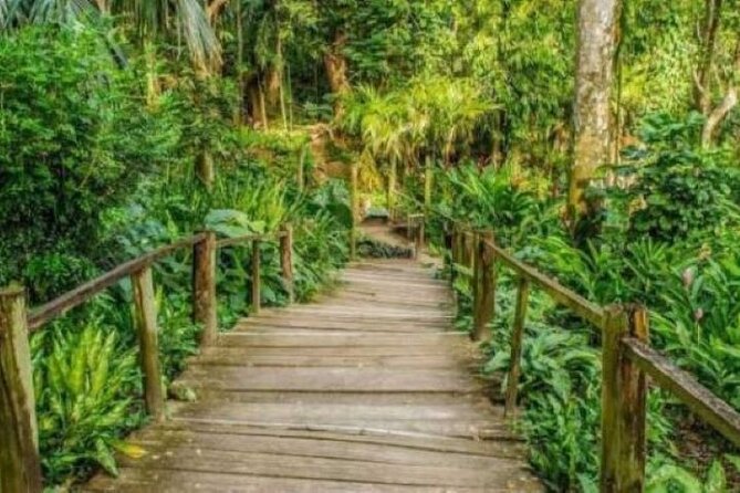Best of Fiji Tours: 3 Days Package - Day 3: Zip Fiji Momi’s 16-line flight and cave tour