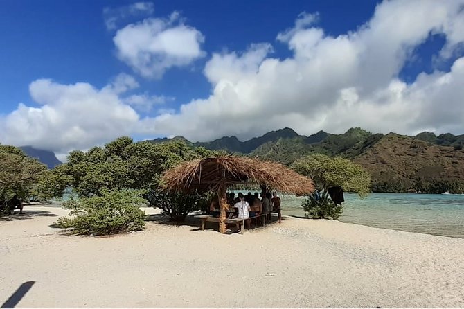 Best Way to Interact with Ocean Wildlife with Lunch. 6H - Key points to know before booking