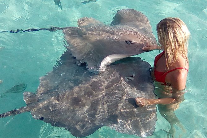 Best Way to Interact with Ocean Wildlife with Lunch. 6H - Who should book this experience?