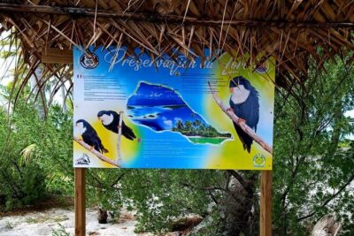 BLUE LAGOON | Eco-tour | Snorkeling Avatoru | Secret Green Lagoon