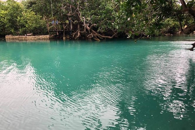 Blue Lagoon & Eden on the River - Half Day Trip with Yumi Tours - Why the local guide makes a difference