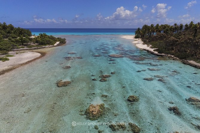 Blue Lagoon - PRIVATE ISLAND Pink sand beach and wildlife reserve - Bird Island and the atoll’s quieter side