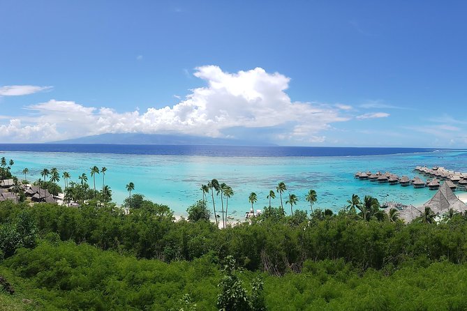 Blue Pearl Private Tour - Key points to know before booking