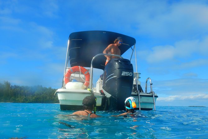 Boat tour 1/2 day Excursion in the lagoon of Moorea - What the guides add