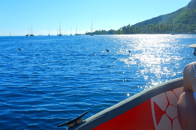 Boat tour 1/2 day Excursion in the lagoon of Moorea - Who will enjoy it most