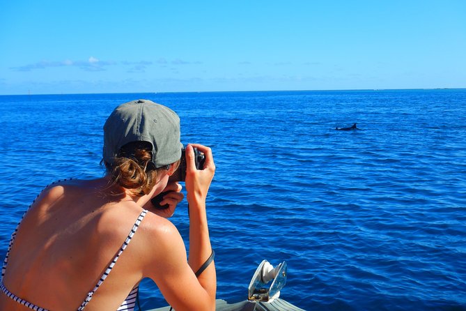 Boat tour 1/2 day Excursion in the lagoon of Moorea - Is $121.46 good value?