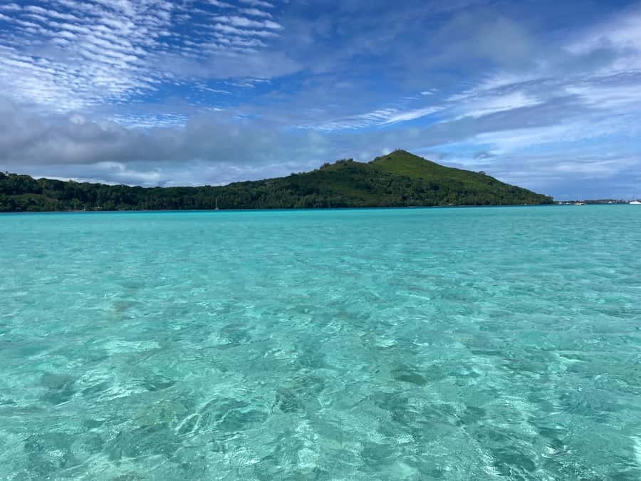 Bora Bora: 1/2 day Coral Discovery tour - Shared tour - Stop one: getting to know Bora Bora’s coral