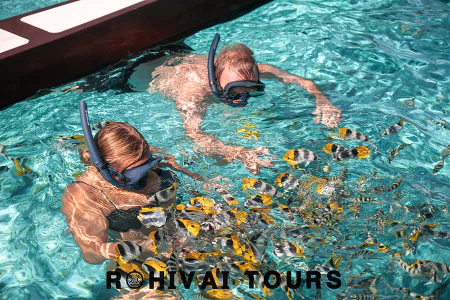 Bora Bora: 1/2 day lagoon safari - Shared tour - Key points to know before you book