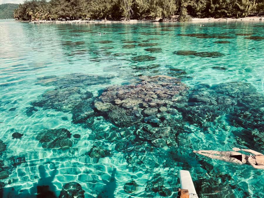 Bora Bora: 1/2 day lagoon safari - Shared tour - Is four hours enough for Bora Bora?