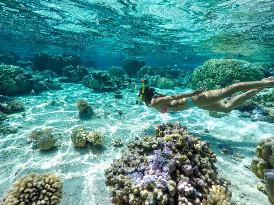Bora Bora: 3.5-Hour Lagoon Boat Tour with Snorkeling - Why This Bora Bora Lagoon Tour Is Worth Your Morning