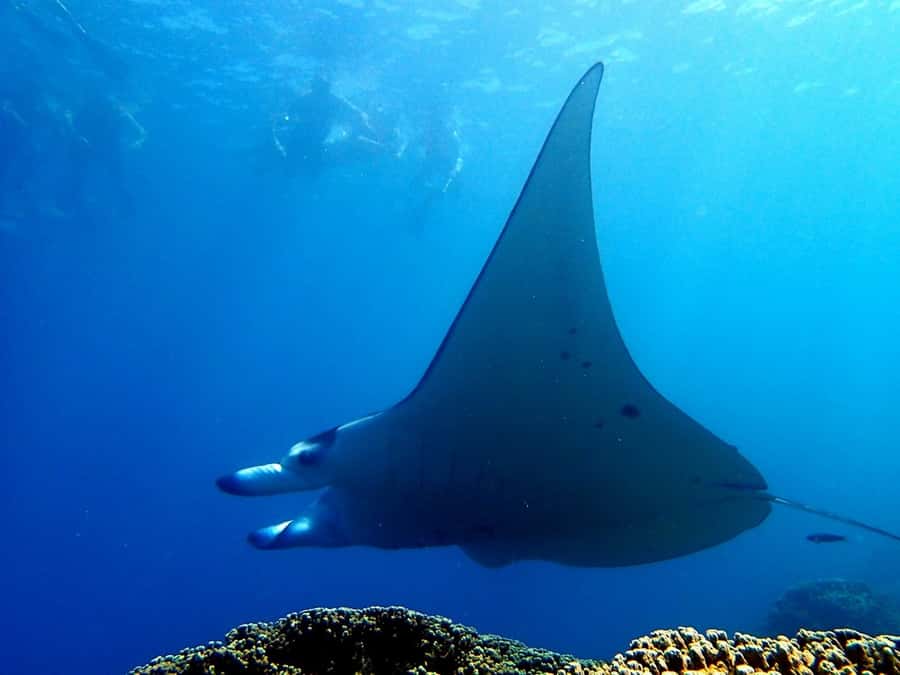 Bora Bora: 3.5-Hour Lagoon Boat Tour with Snorkeling - What the Boat Ride Feels Like