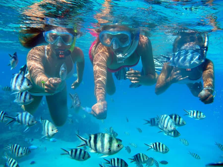 Bora Bora: 3.5-Hour Lagoon Boat Tour with Snorkeling - Safety, Skill Level, and Water Time
