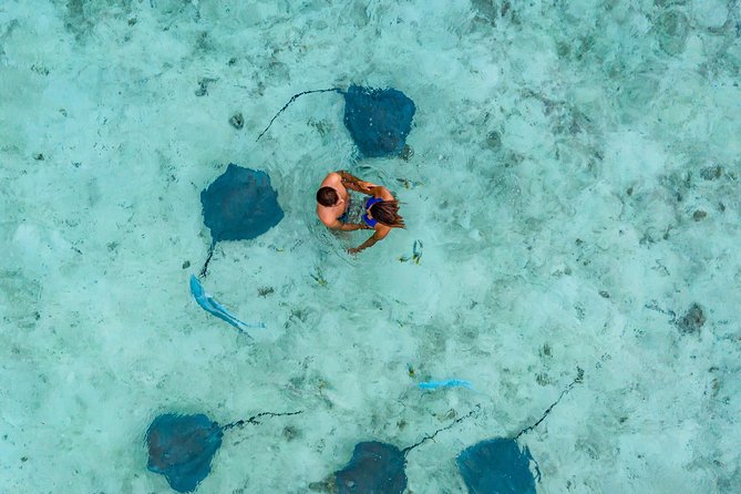 Bora Bora 4WD Tour & Eco Shark & Ray Snorkel Cruise - What can go wrong, and how to reduce the risk