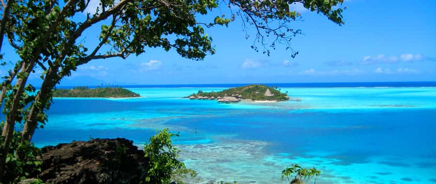 Bora Bora: 4x4 Safari with Snorkelling Combo Tour - Reef sharks and grey rays are the main attraction