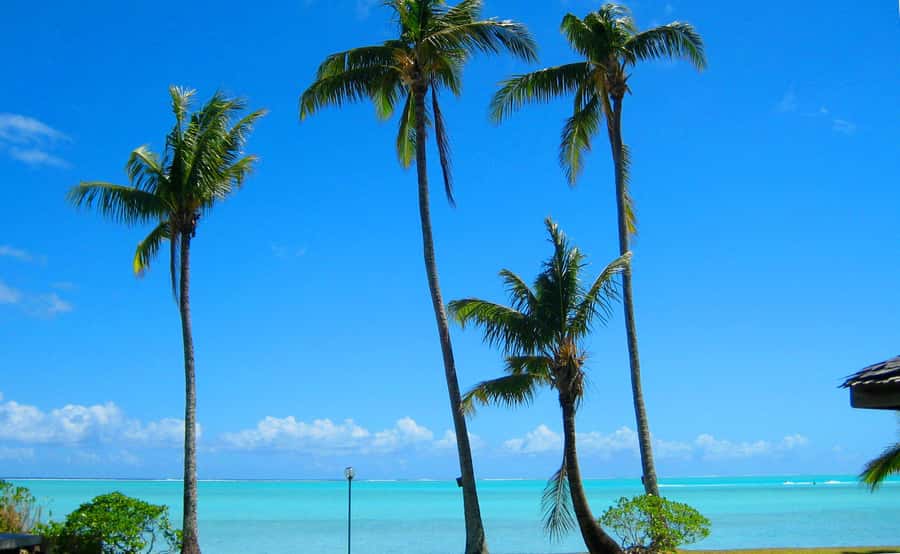 Bora Bora: 4x4 Safari with Snorkelling Combo Tour - What the tour does well, and where it is lighter