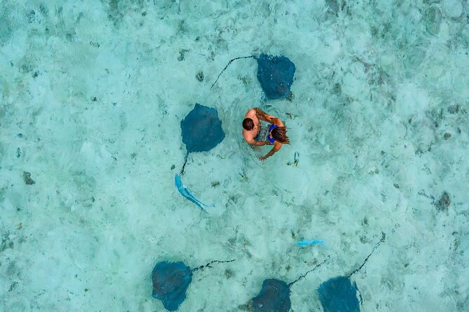 Bora Bora adventure Private Combo Jet Ski and Eco Sharks Snorkel - Lunch at Lucky House breaks up the day