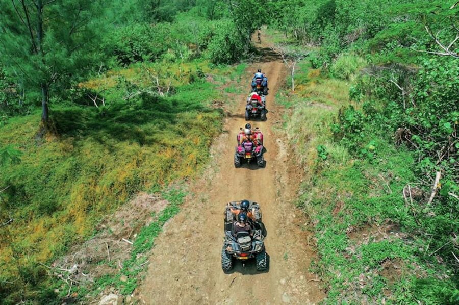 Bora Bora Adventures ATV / QUADS Tours - Mt. Popoti: the big view after the rough track