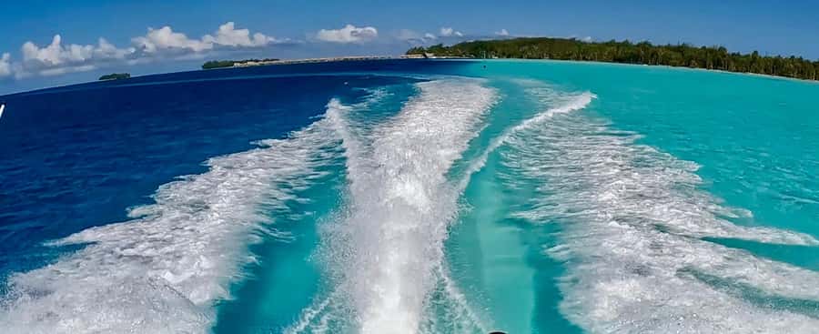 Bora Bora: Blue Lagoon Cruise, Snorkeling and Lunch . - Snorkeling through the coral gardens
