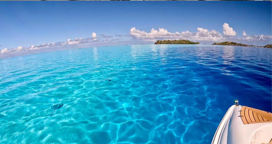 Bora Bora: Blue Lagoon Cruise, Snorkeling and Lunch . - Lunch with your feet near the water