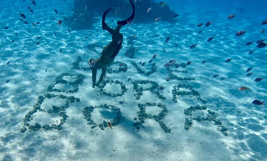 Bora Bora: Blue Lagoon Cruise, Snorkeling and Lunch . - What to pack for six hours outside